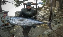 Divein Lissico Smoothskin Camouflage Wetsuit -Diving Gear Shop 12742527 1052440701484936 6054612312041765676 n