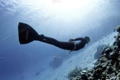 Leaderfins Hyper Monofin + Socks -Diving Gear Shop 283 513 thickbox 1