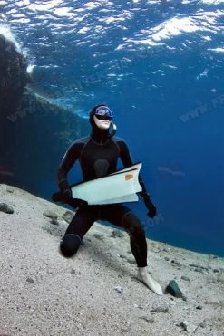 Leaderfins Ice Fins 26 Leaderfins Ice Fins -Diving Gear Shop 347 507 thickbox