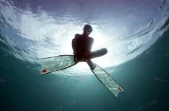 Leaderfins Ice Fins 27 Leaderfins Ice Fins -Diving Gear Shop 347 508 thickbox