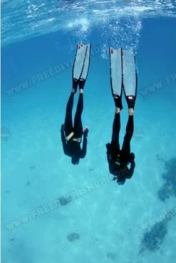 Leaderfins Ice Fins 28 Leaderfins Ice Fins -Diving Gear Shop 347 509 thickbox