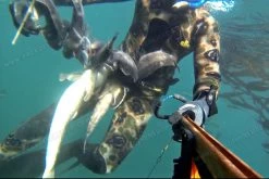 Elios Classic Brown Hydro Camouflage Wetsuit -Diving Gear Shop alcatch