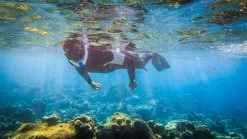 Ameo Powerbreather - Sport Edition -Diving Gear Shop atm shop m11