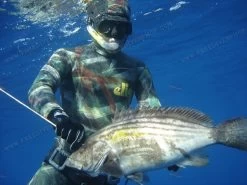 Elios Smoothskin Benthos Camouflage Wetsuit -Diving Gear Shop benthos 2010 2