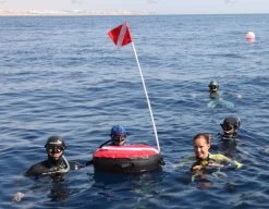 Apneautic Freediving Buoy Maxi -Diving Gear Shop bouy in water 1