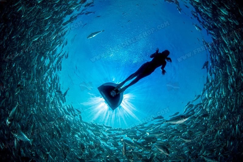 Cetma Composites Taras Monofin 17 Cetma Composites Taras Monofin - Image 15