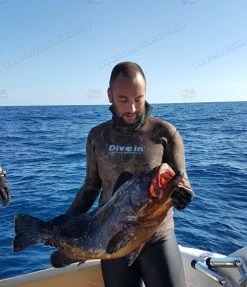 Divein Spaccato Green - Tailor Made Wetsuit 11 Divein Spaccato Green - Tailor Made Wetsuit -Diving Gear Shop cp 022 1