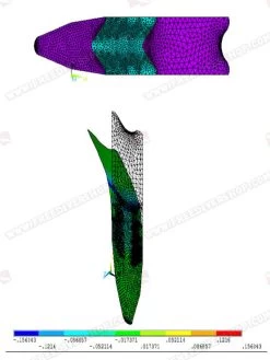 Cetma Composites Edge Carbon Fins -Diving Gear Shop edge pf 01 2 3