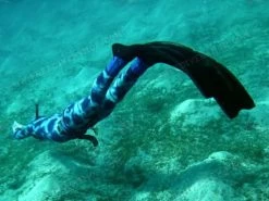 Elios Corifena Camouflage - Tailor Made Wetsuit -Diving Gear Shop elioscorifena4 1