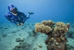 Elios Corifena Camouflage - Tailor Made Wetsuit -Diving Gear Shop elioscorifena6 1