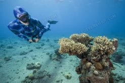 Elios Corifena Camouflage Wetsuit -Diving Gear Shop elioscorifena6 1 1