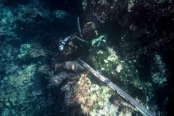 Elios Mimetic Camouflage Wetsuit -Diving Gear Shop file 10 4