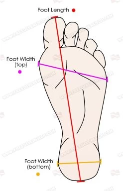 GoldFin Fish Tail Finswimming Hyper Monofin -Diving Gear Shop foot vector 3 1