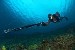 Divein Combo Red Camouflage Wetsuit -Diving Gear Shop frk 94581