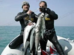 Elios Smoothskin Black - Tailor Made Wetsuit 22 Elios Smoothskin Black - Tailor Made Wetsuit -Diving Gear Shop image16 2