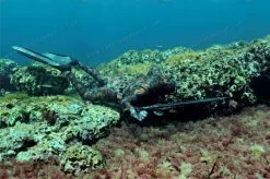 Elios Reef Camouflage - Tailor Made Wetsuit -Diving Gear Shop image1 4