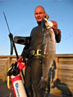 Elios Smoothskin Black - Tailor Made Wetsuit 24 Elios Smoothskin Black - Tailor Made Wetsuit -Diving Gear Shop image39 4