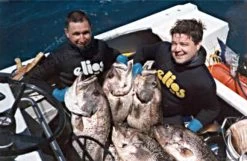 Elios Black Pro Wetsuit -Diving Gear Shop image41