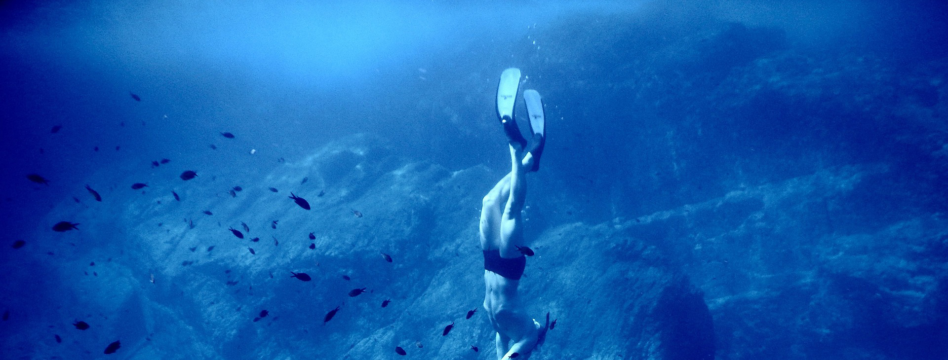 Front Page -Diving Gear Shop sea 2597712 1920